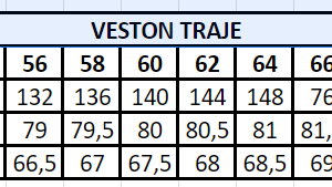 Veston Perla Gris Claro - Imagen 5